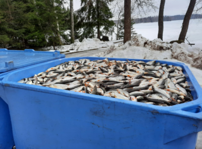 Kuva: Vesijärven hoitokalastussaalis. @Matti Kotakorpi.