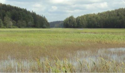 Saarenjärvi